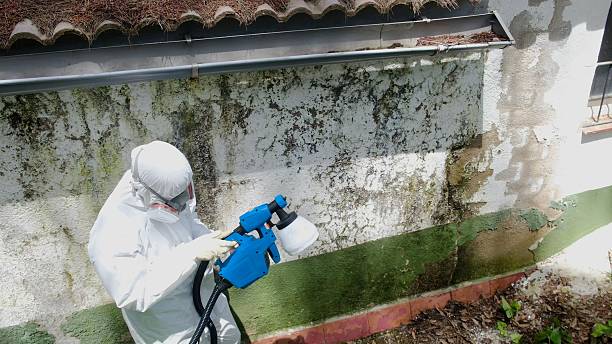 Top rated local Mold Remediation specialists in Cream Ridge, NJ